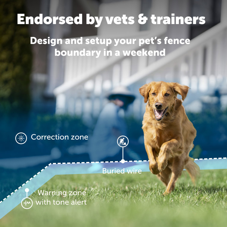 Petsafe dog best sale fence wire